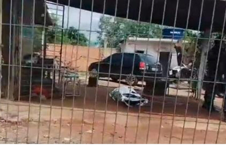 Reprodução 