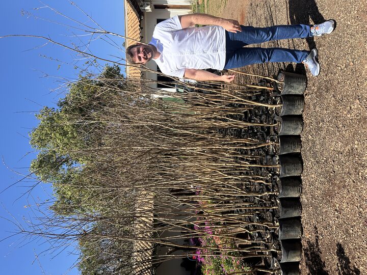 Foto: Macsuel Oliveira 