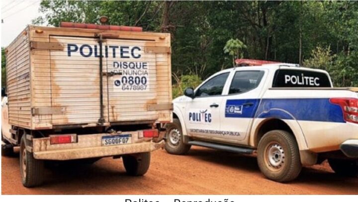 Politec – Reprodução